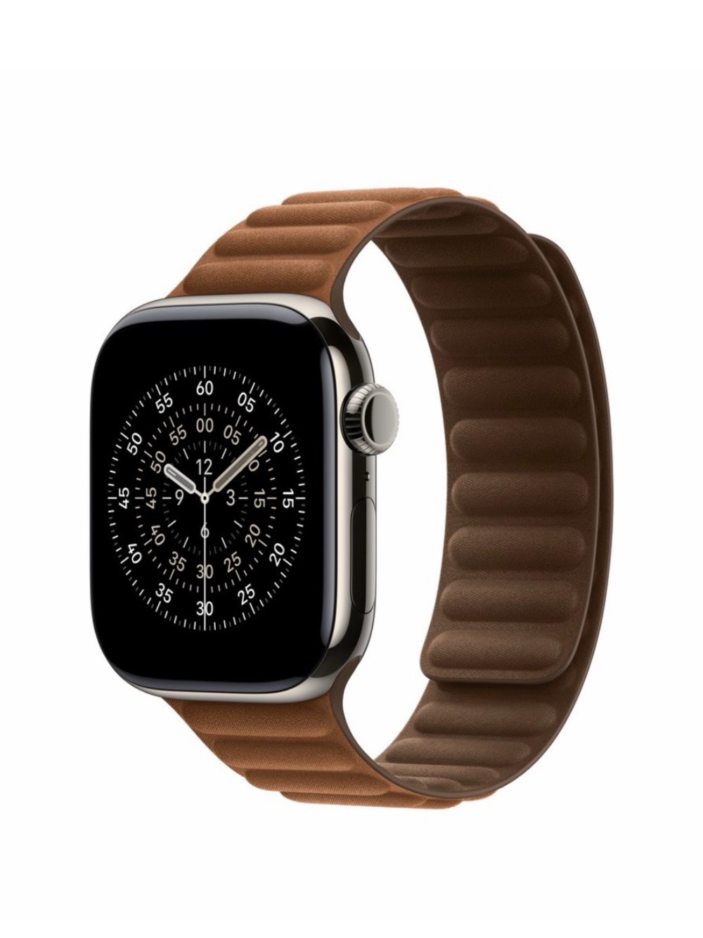 Apple Watch Genuine Leather Magnetic Link Band (45MM, M/L)